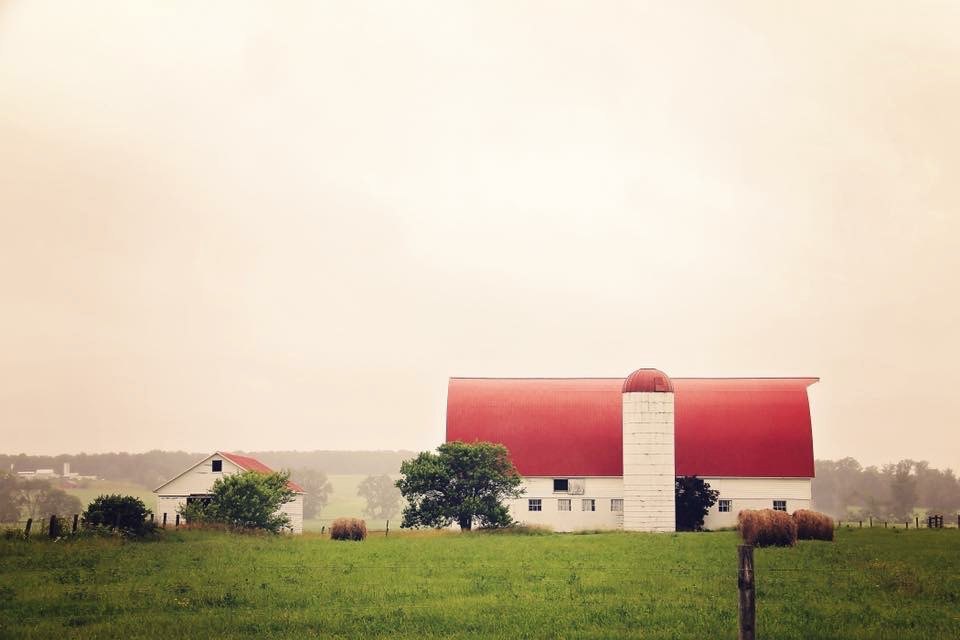 The barn and its red roof across the open field on a hazy summer morning.