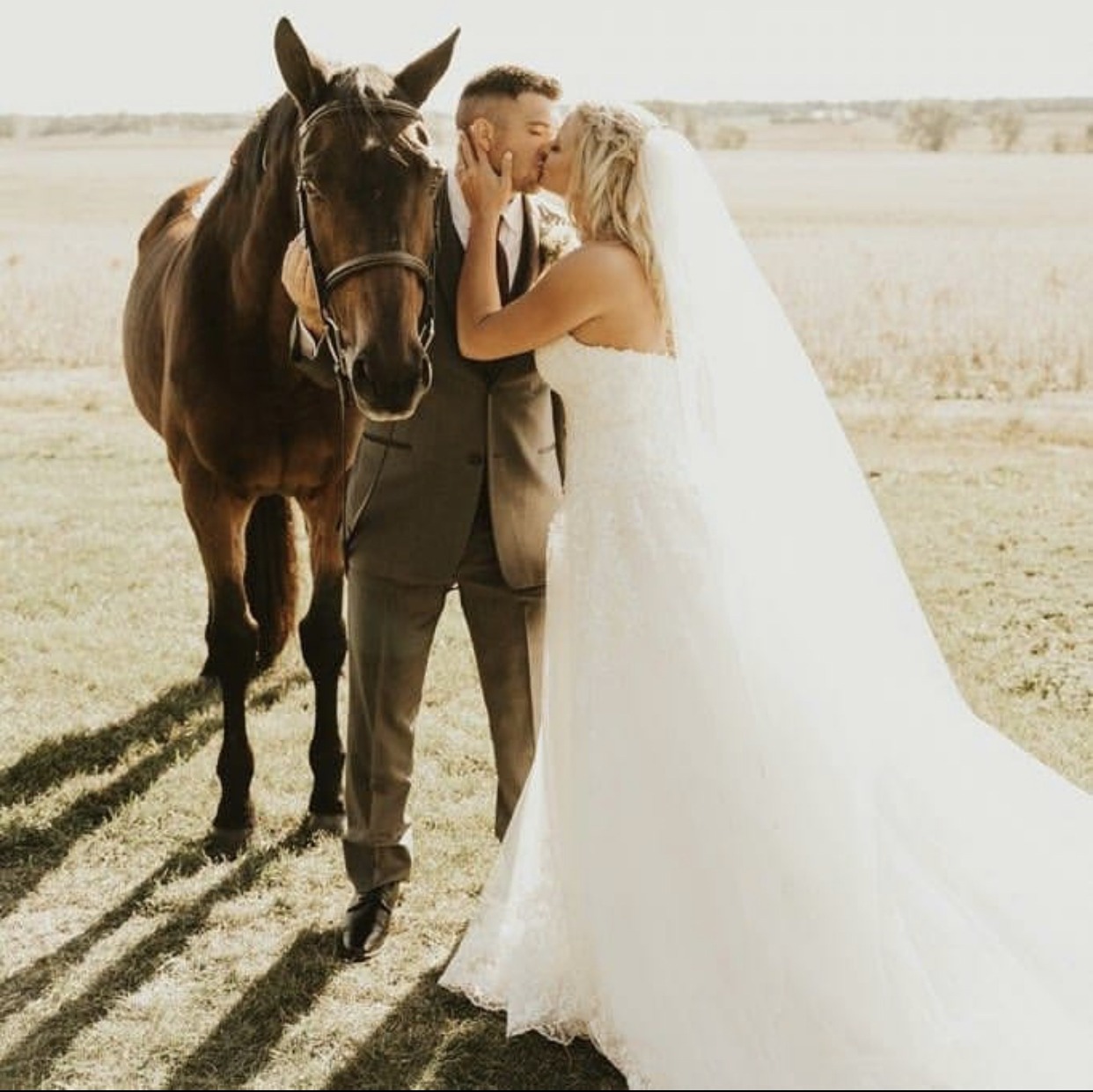 A bride with one of the farm's horses in the late golden light.