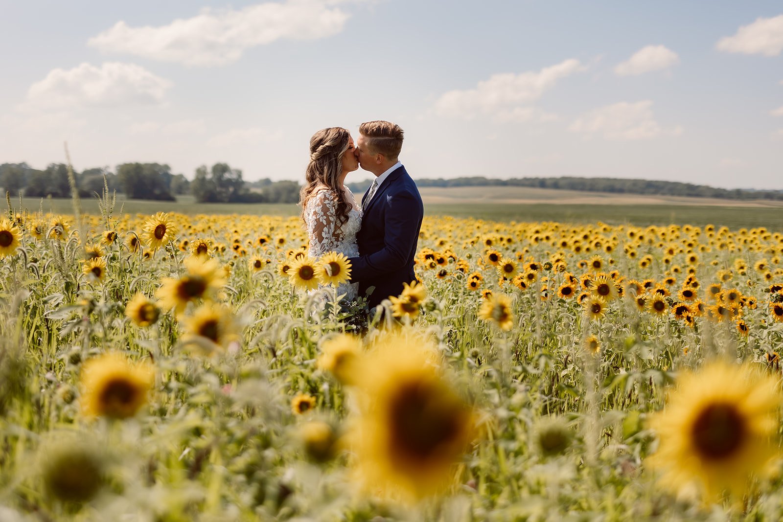 Bride and groom kissing in the sunflower field at Wren Farm