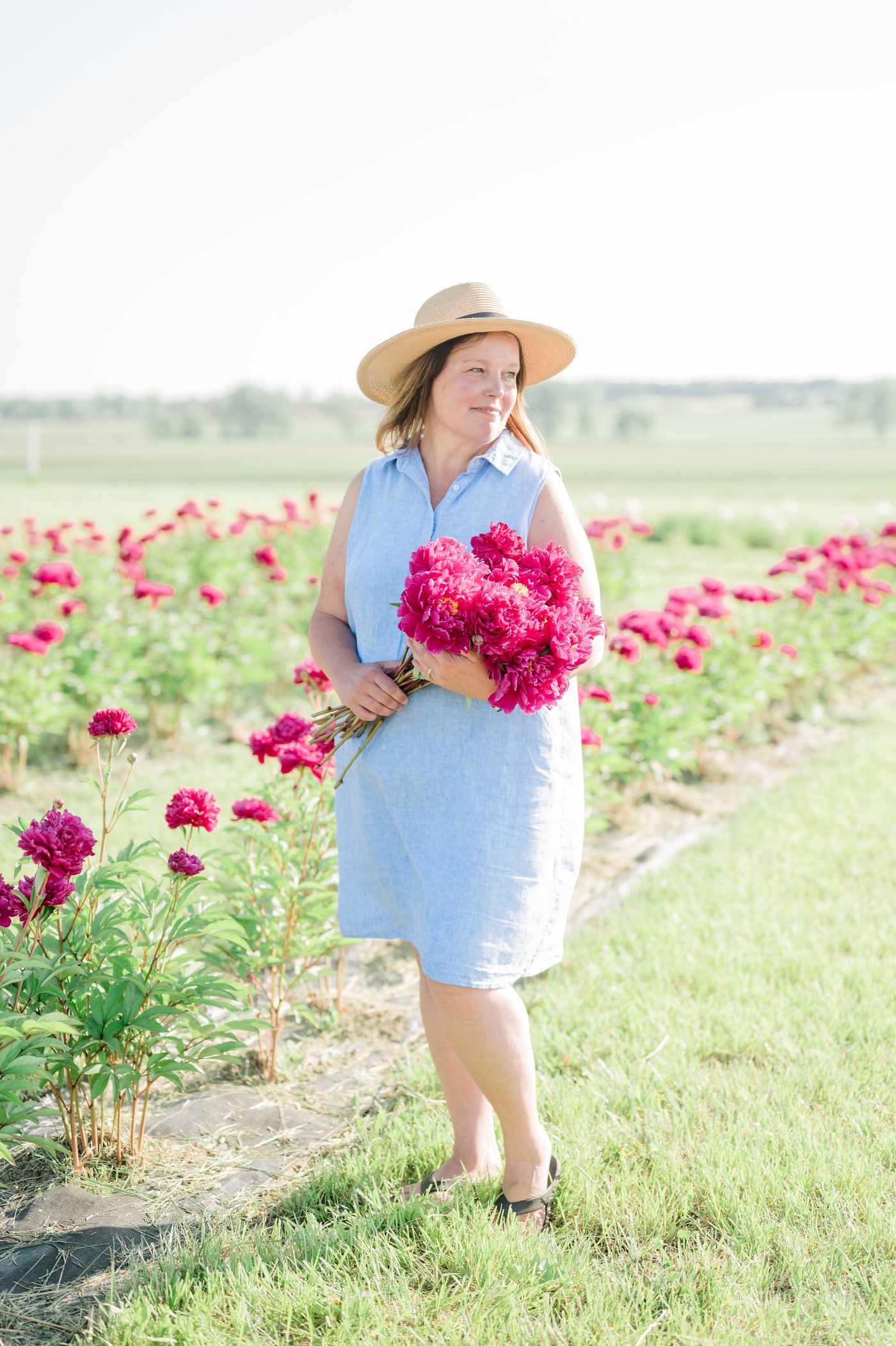 An armful of peonies carried out of the rows.