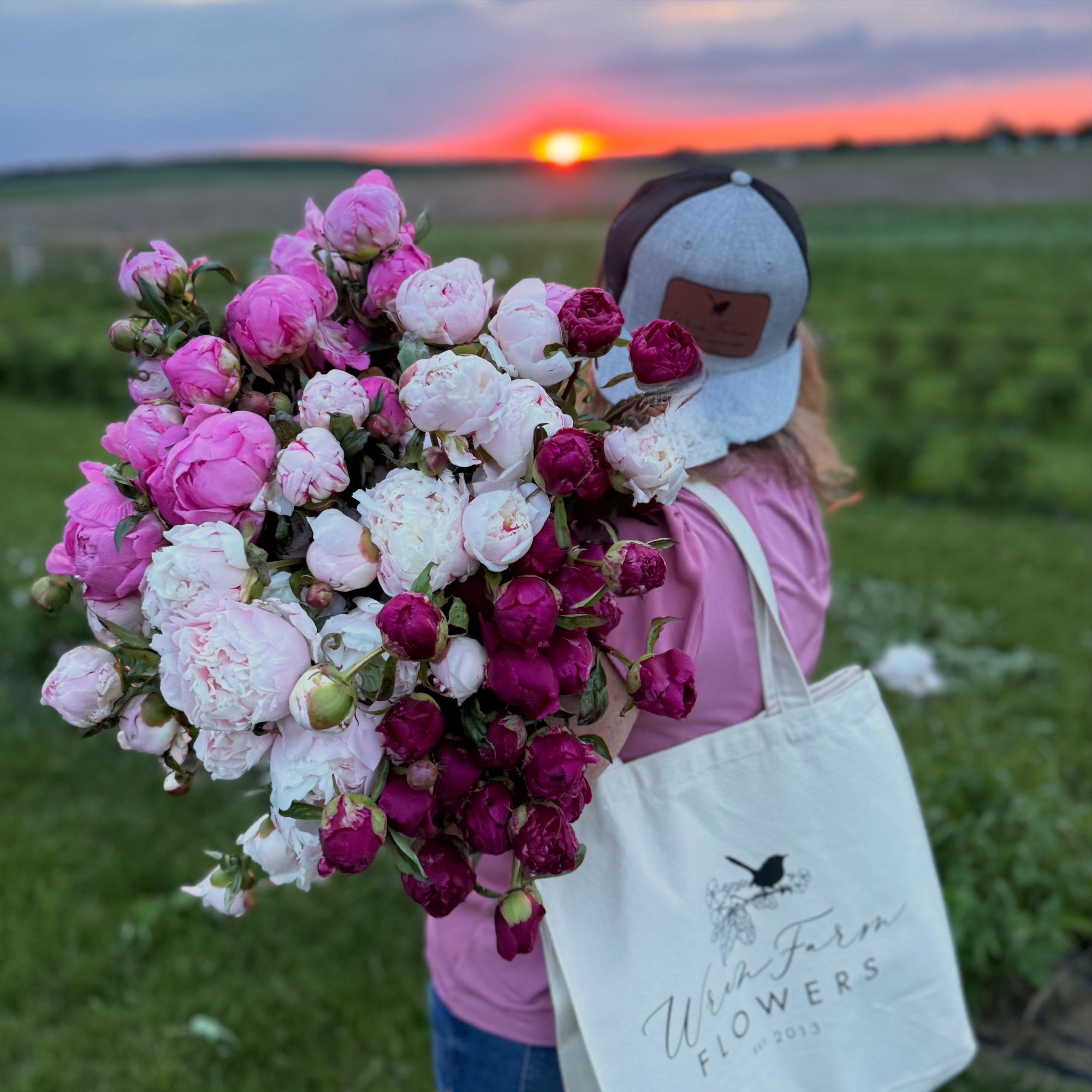 An armful of pink and magenta peonies carried out of the field at sunset beside a Wren Farm Flowers tote