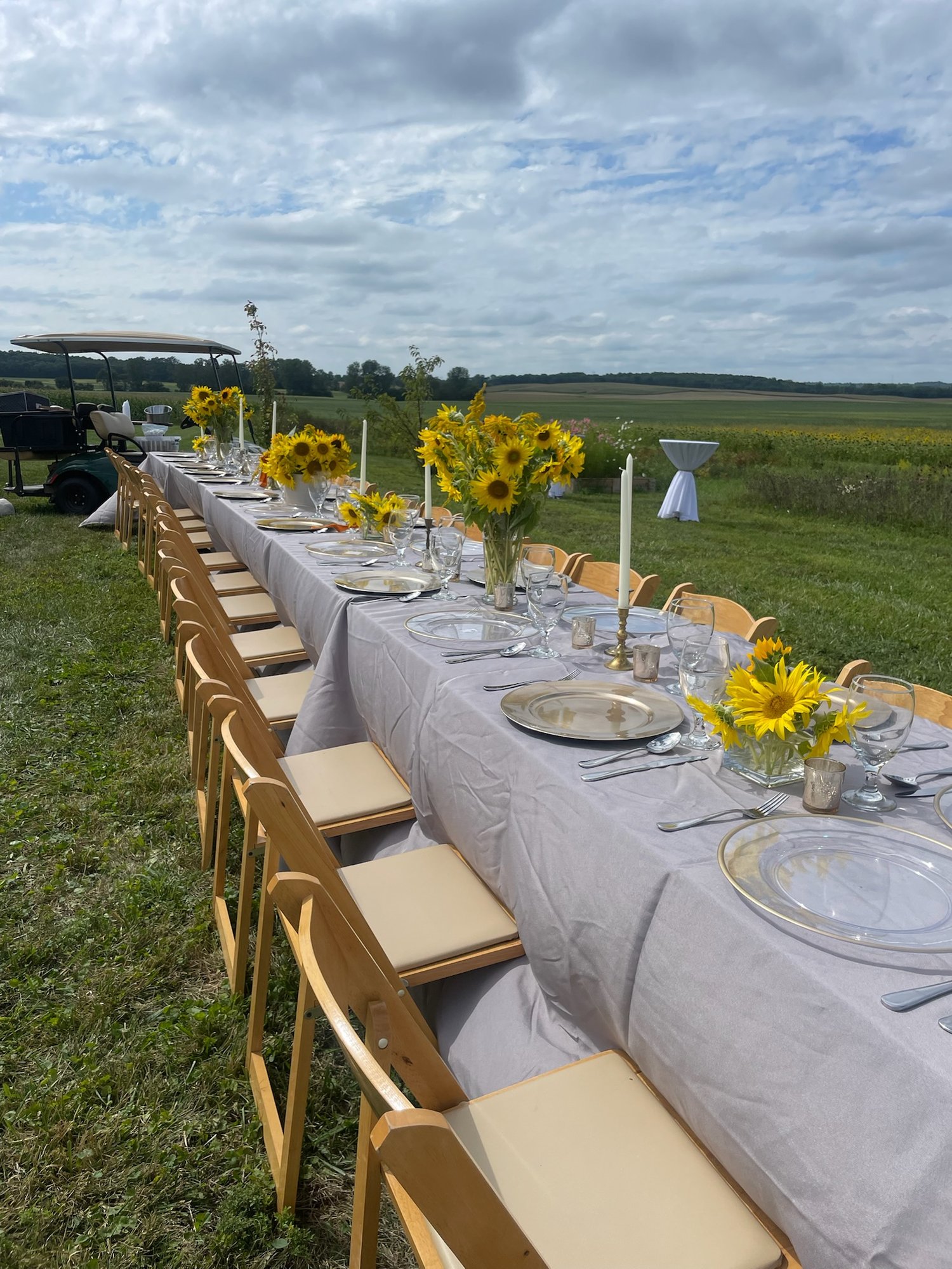 A long table set with sunflowers out in the field.