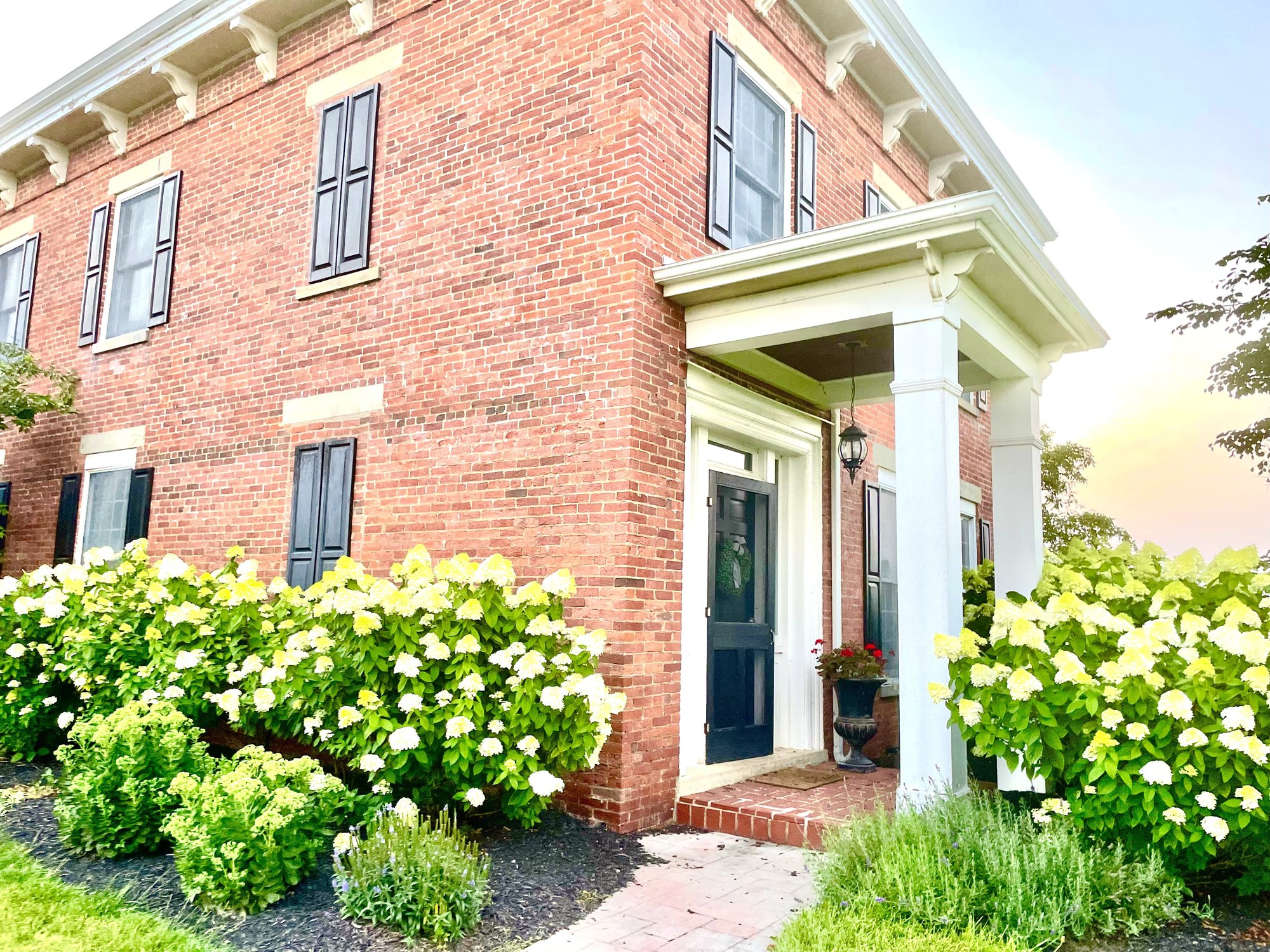 The brick farmhouse framed by banks of white hydrangeas.